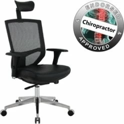 Eve 24/7 Ergonomic Mesh And Leather Task Chair