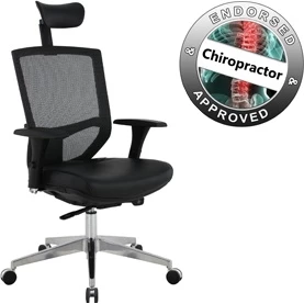 Eve 24/7 Ergonomic Mesh And Leather Task Chair 3 Eve 24/7 Ergonomic Mesh And Leather Task Chair