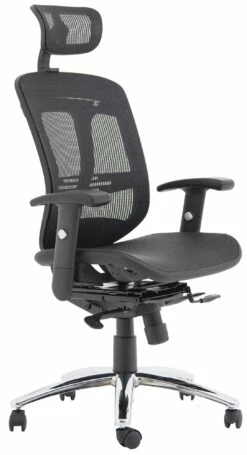 Carinosa II Mesh Office Chair