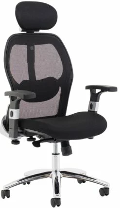 Darwin Ergonomic Mesh Task Chair