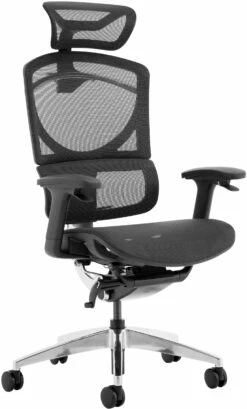 Ergo Posture Plus 24 Hour Mesh Office Chair
