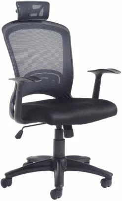 Energise Mesh Back Office Chair