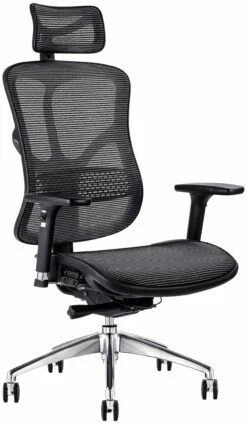 F94 All Mesh Office Chair With Headrest